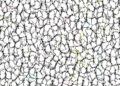 A imagem que está confundindo milhares de pessoas: onde está a formiga?