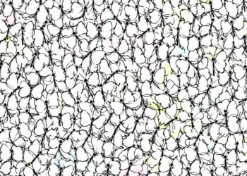 A imagem que está confundindo milhares de pessoas: onde está a formiga?