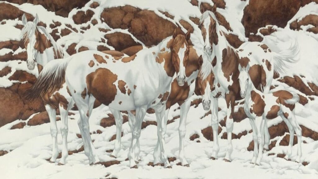 Bev Doolittle