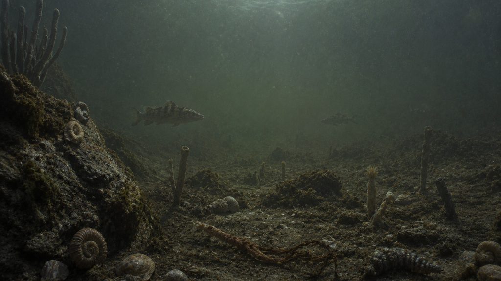 oceanos