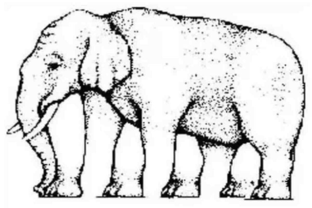 elefante