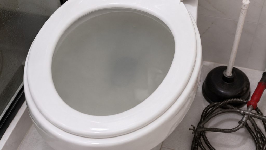 vaso sanitário entupido