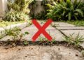 Como eliminar ervas daninhas de maneira simples usando um método caseiro que virou tendência em jardins e áreas pavimentadas