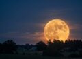 A “Lua de Cervo” está chegando: saiba quando o céu será tomado por um dos espetáculos mais belos de 2026