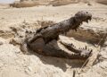 Crocodilo pré-histórico que sobreviveu à extinção dos dinossauros é descoberto no Egito e surpreende cientistas