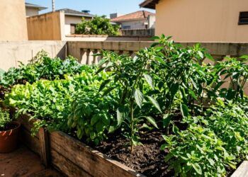 Sua horta com sol o dia todo: estas plantas podem crescer muito mais, produzir colheitas abundantes e facilitar o cultivo