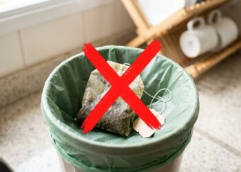 Nunca mais jogue fora o saquinho de chá de camomila: ele pode transformar suas plantas de um jeito surpreendente
