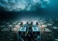 Após 48 horas de missão, robô encontra um dos maiores berçários naturais já descobertos nos oceanos com 60 milhões de ninhos