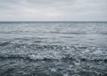 O que aconteceria se os oceanos perdessem todo o seu sal?