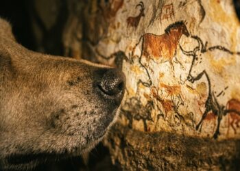 O cachorro entrou em um buraco e revelou um dos maiores tesouros arqueológicos da humanidade
