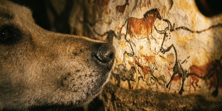 O cachorro entrou em um buraco e revelou um dos maiores tesouros arqueológicos da humanidade