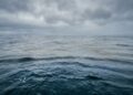 O inimigo invisível que está "adoecendo" os oceanos pode transformar a alimentação do mundo inteiro