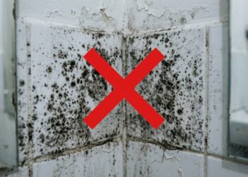 Como remover mofo resistente de forma completa e manter paredes livres de fungos por mais tempo