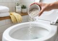 Por que cada vez mais pessoas estão jogando sal no vaso sanitário? O truque simples que está conquistando milhões de casas