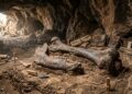 Ossos gigantes encontrados nos Estados Unidos eram de humanos colossais? A ciência revela o mistério por trás da Caverna Lovelock