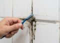 O banheiro encardido ganhou um inimigo poderoso: conheça o método simples que facilita a limpeza deixando o banheiro mais limpo e cheiroso