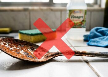 Conheça o maior mamífero terrestre que já existiu: ele era mais alto que uma girafa e pesava até 20 toneladas