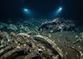 Cientistas encontram um verdadeiro 'cemitério dos gigantes' escondido no fundo do Oceano Índico
