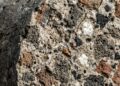 O Brasil já foi terra de gigantes: conheça os dinossauros que dominaram o território há milhões de anos