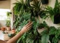 As plantas para jardim vertical que sobrevivem à sombra e continuam exuberantes o ano inteiro