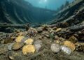 Joias e moedas de ouro encontradas em navio naufragado revelam segredos esquecidos do século XVII