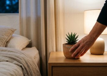 Estas 7 plantas estão entre as melhores escolhas para deixar o quarto mais agradável, acolhedor e propício para um sono relaxante