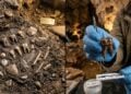A caverna esquecida que guardou 30 mil anos de história revela como humanos e neandertais realmente conviviam