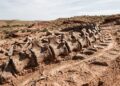 O Brasil já foi terra de gigantes: conheça os dinossauros que dominaram o território há milhões de anos