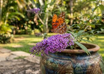 Parece um jardim de conto de fadas: a planta perfumada que atrai borboletas e deixa o quintal cheio de vida