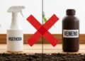 Nem inseticida nem veneno: o truque com algumas gotas desse ingrediente que está eliminando pulgões das plantas