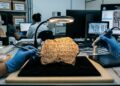 Após mais de um século de fracassos, cientistas finalmente conseguiram decifrar uma escrita de 4.000 anos que escondia os segredos de uma civilização perdida
