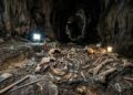 Uma caverna, 20 esqueletos e um mistério: a descoberta sobre o Homo naledi surpreende pesquisadores