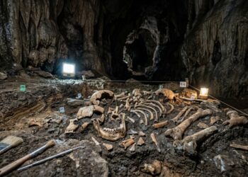 Uma caverna, 20 esqueletos e um mistério: a descoberta sobre o Homo naledi surpreende pesquisadores