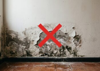 Diga adeus às paredes úmidas: método sem quebra-quebra cria barreira contra infiltração e protege a casa