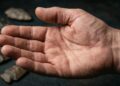 Olhe para a sua mão: cientistas descobriram um detalhe que atravessou milhões de anos de evolução