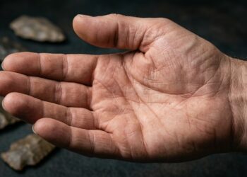 Olhe para a sua mão: cientistas descobriram um detalhe que atravessou milhões de anos de evolução