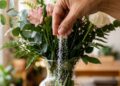 O ingrediente da cozinha que pode fazer flores cortadas durarem muito mais tempo no vaso