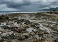 O mar recuou 200 metros: o terremoto que transformou a costa das Filipinas para sempre