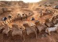 Novo dinossauro gigante descoberto na Tailândia revela segredo de 150 milhões de anos sobre os maiores pescoços da pré-história