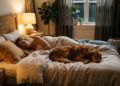 Quais traços podem aparecer em pessoas que dormem com seus pets