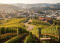 Farroupilha, Rio Grande do Sul Onde chegaram os primeiros italianos do Rio Grande do Sul e nasceu a única uva moscato que só existe no Brasil