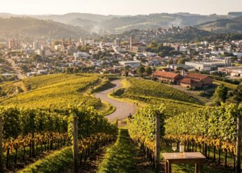 Farroupilha, Rio Grande do Sul Onde chegaram os primeiros italianos do Rio Grande do Sul e nasceu a única uva moscato que só existe no Brasil