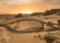 Como os fósseis do Wadi Al-Hitan registram a transição evolutiva das baleias para a vida aquática