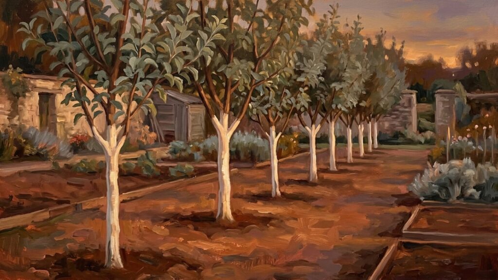Pintar árvores de branco: para que serve e por que ela é recomendada