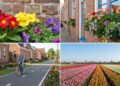 A Holanda Brasileira, uma cidade que nasceu da fuga da guerra e hoje tem mais flores do que habitantes