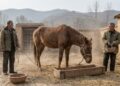 Provérbio do dia: “Um cavalo com dois donos está sempre magro…”; lições de vida de um provérbio chinês sobre lealdade dividida