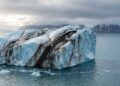 Durante longas viagens pelo Ártico, icebergs transportam pedras que podem decidir onde corais e esponjas conseguem sobreviver no fundo do oceano