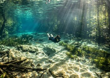 National Geographic declarou como destino número 1: a cidade com rios transparentes no interior do Brasil que superou Galápagos e Ruanda