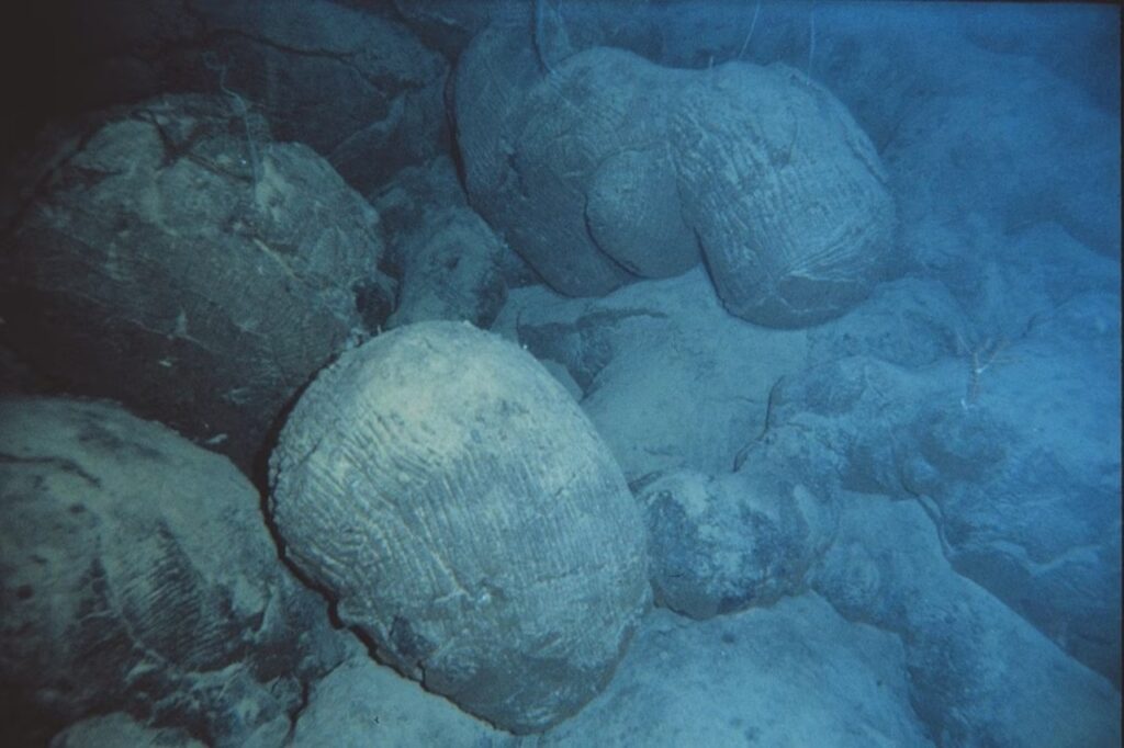 fundo oceânico